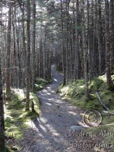 Quoddy Coastal Trail (Bright)