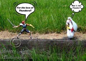 Lion-O vs. Sesshomaru