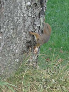 Stocking Up For Winter