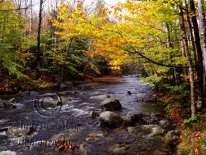 Fall Colors at Screw Auger Falls