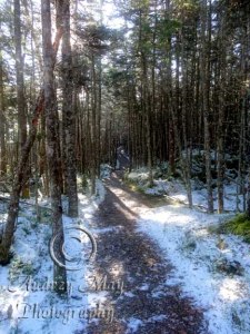Dreamy Quoddy Trail