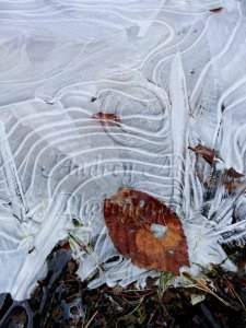 Abstract Ice