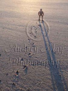 Soldier in the Desert