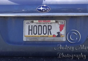 HODOR plate