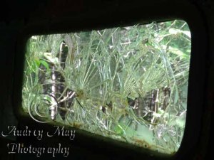 Old Truck 4 (Rear Window)