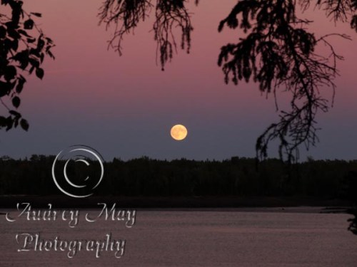 Moonrise at Cobscook State Park