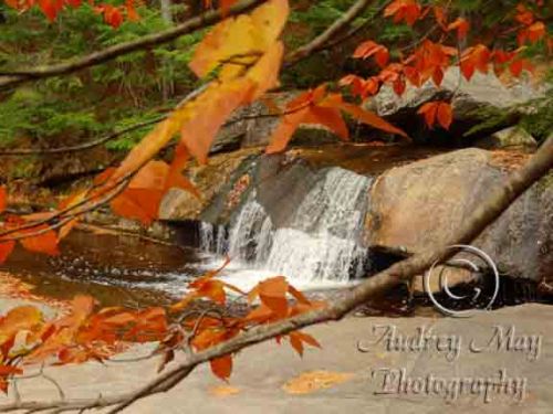 Screw Auger Falls in Autumn