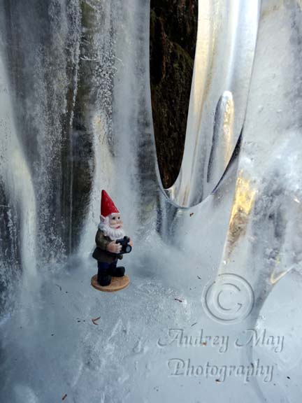 Mr. Martin "Marty" McGnome