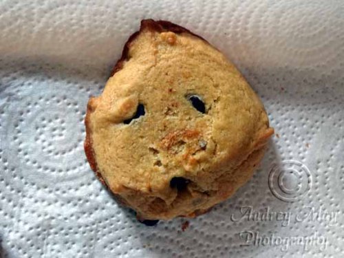 Sad Cookie