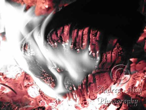 Labor Day Campfire Art 2