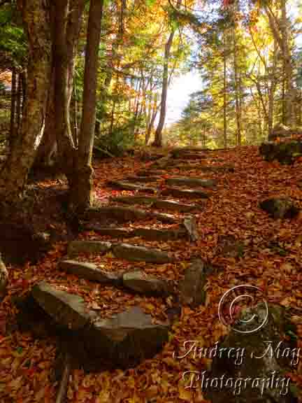 Mother Walker Falls Stone Stairway